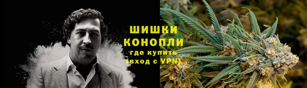 дживик Абаза