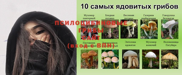 соль ск Абинск