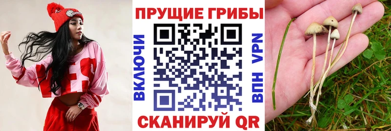 Псилоцибиновые грибы прущие грибы  Ханты-Мансийск 